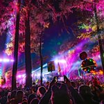 Photo by LiveLoveMusicFL (@LLMUSICFL)