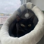 Photo by любительница дешёвых эффектов (@LoveSplean)