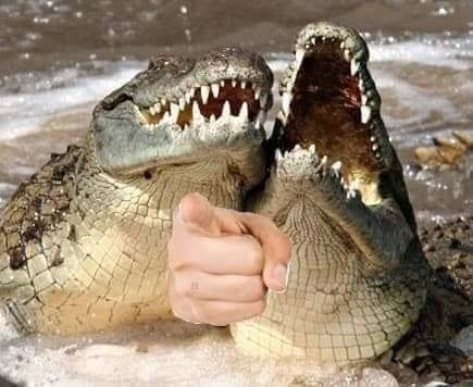 alexm_io's tweet photo. @ElShowdel_Dia @MiyagiCripto Jajajjaajaajaajajajajjajsjajajajajajaja 
Este wey se come las noticias jajajaajajajajaajjajajajajajjajajajja https://t.co/ECmeNKqKSs