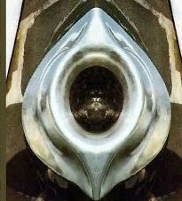 Ghasana89's tweet photo. @zeronov112 @Ercan552501 @Pilghrim001 @AlHuda247 You are IDIOT..that's why you worship a stone‼️‼️‼️

Talk fisrt to your Blackstone idol before you comment...‼️‼️‼️

What he say...⁉️⁉️⁉️

Ngooooaaahhhh...... https://t.co/TsfyDN6eJY