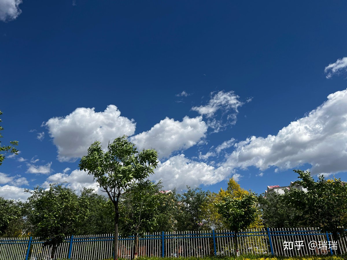mipporin9412's tweet photo. [桶夷陀越に関する素敵な発見をシェア] https://t.co/0CDs4jXWy3