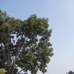 Photo by Mr Perfect7 (@MrPerfect797)