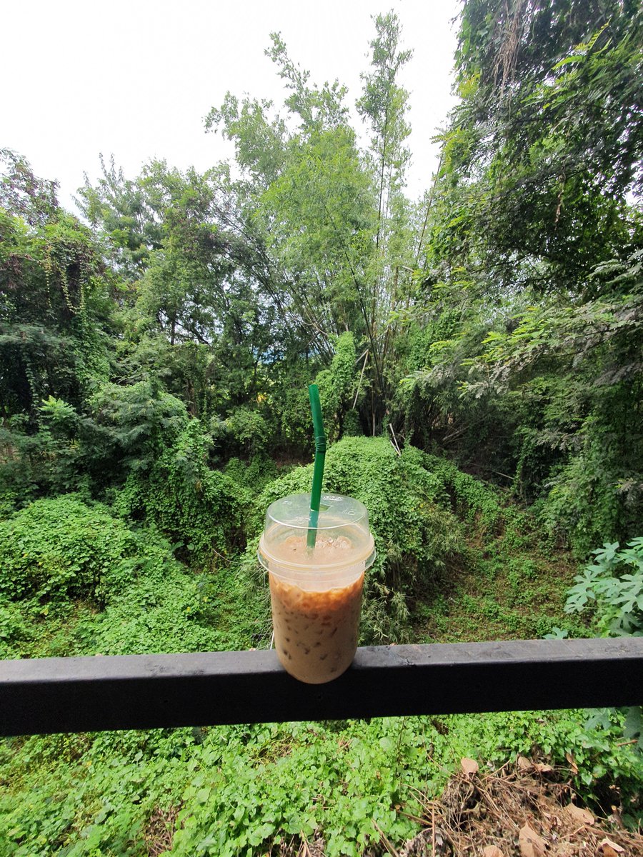 The_wealth88's tweet photo. กาแฟยามเย็น สีเขียว สบายตากันไหมคับ
❤️❤️❤️ให้ธรรมชาติ ฮิวใจ 🌿🌿🌿
ขอให้ทุกคนมีความสุขในคืนวันเสาร์คับ https://t.co/JUBYo4M6HB