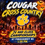 Photo by NPHS Athletics (@Fic27)