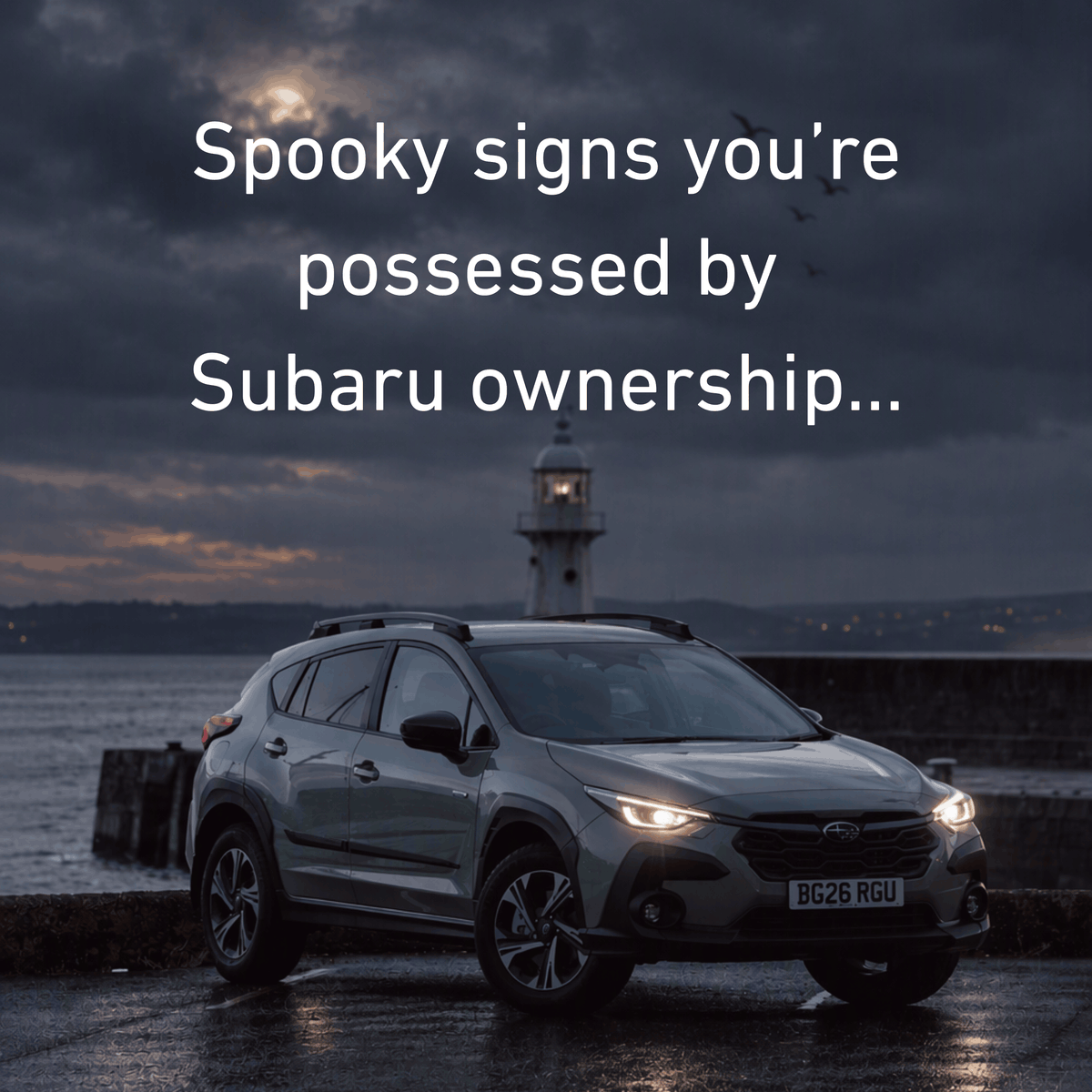 subaruuk's tweet photo. 👻 HAPPY HALLOWEEN 🎃
#subaru #exploresubaru #subarunation #subiedaily #spookyseason #halloween #subaruuk #forester #crosstrek #safety #awd #adventure #offroading #suv #subarucars #subiegang https://t.co/lU2M7WaAjT