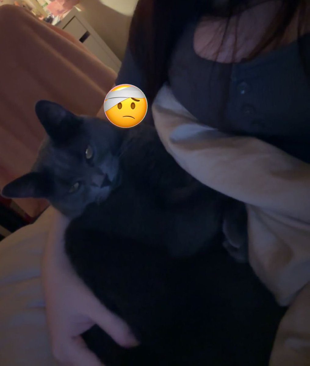 lussekatterna's tweet photo. I love my pussy https://t.co/C6kzq2xSM2