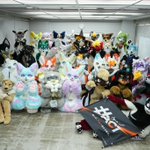 Photo by ケモノACT (@Kemono_ACT)