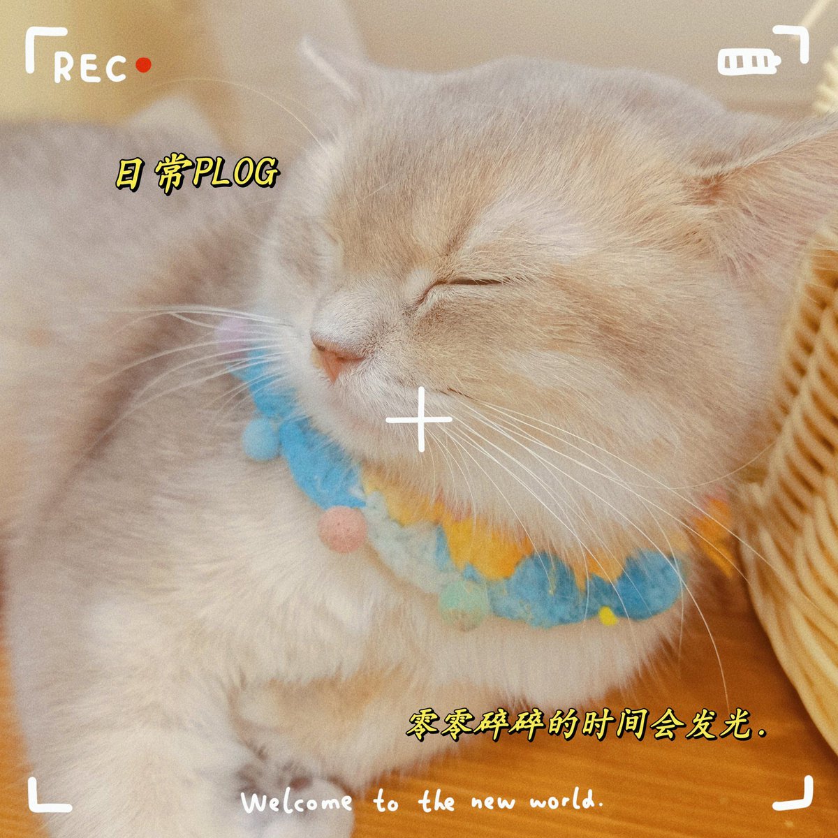 yuttan_home's tweet photo. [覆瞪毫是侠]なんて、ちょっと不思議な響きだけど、何かかっこいいものを感じるよ！今週も頑張ろう！ https://t.co/JlNm4JaBV7