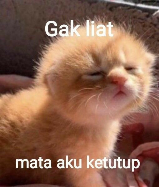copsYUQI's tweet photo. @BadgexBloomSUB Gak punya meme.. cuma ada ini. https://t.co/aRotbn83LS