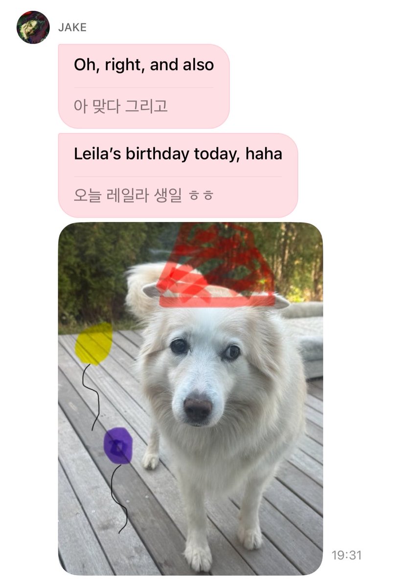 dearsimjae's tweet photo. JAKE DREW LAYLA A BIRTHDAY HAT AND BALLOONS 😭 https://t.co/XdqXaqrJqz