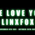 Photo by Fuzz Buttons🐱🐇( Rest In Peace Linxfox💔😭) (@FuzzCabbit)
