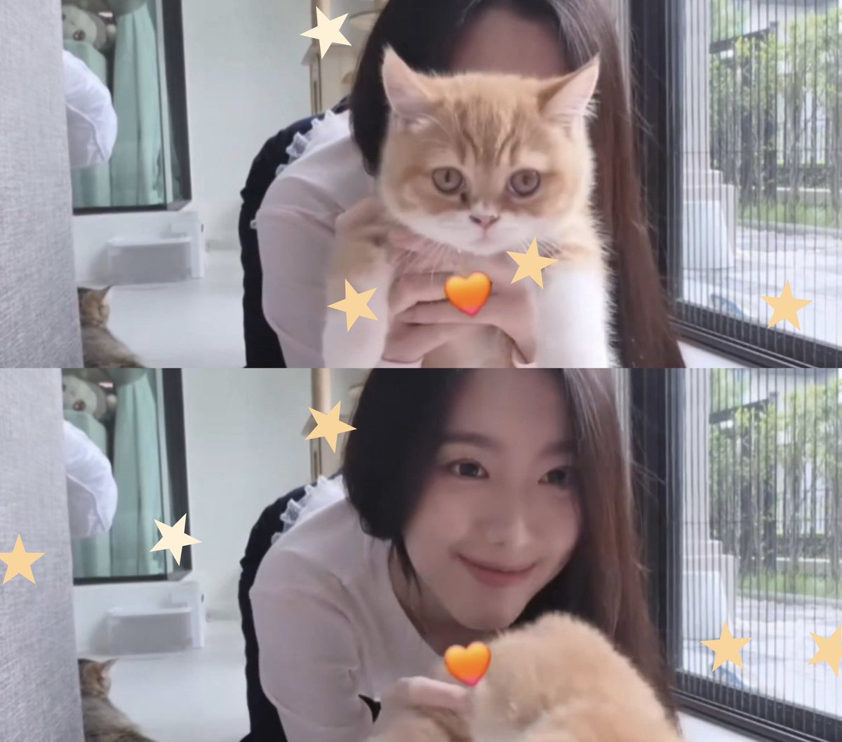 meltymelmm's tweet photo. แฝดอ๊ะป่าวเนี่ยย 🤏🏻🤏🏻🐱🐱
#Aheye4EVE https://t.co/RetLNiRdwU