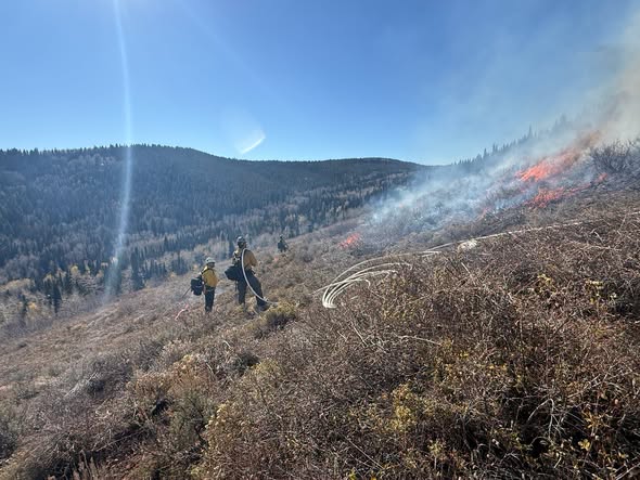 UtahWildfire tweet picture