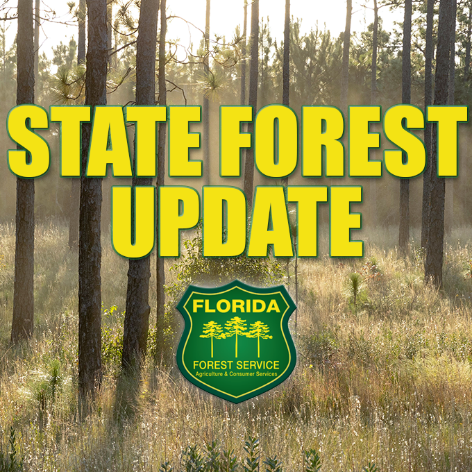 FLForestService's tweet photo. 🚨UPDATE 🚨
Effective Oct. 19, 2026, at 2 p.m., all campgrounds at Blackwater River State Forest are now open, except for Coldwater Equestrian Campground, Krul Campground, &amp; Clear Creek Campground. All other trails &amp; recreation areas at Blackwater River State Forest remain closed https://t.co/xzblzQV03Z