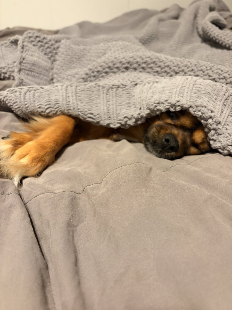 MiggyCryptoX's tweet photo. How to grow on 𝕏

1. Be cute.
2. Post good pics.
3. Repeat for 2 years.

Easy https://t.co/Slib7hNUyt