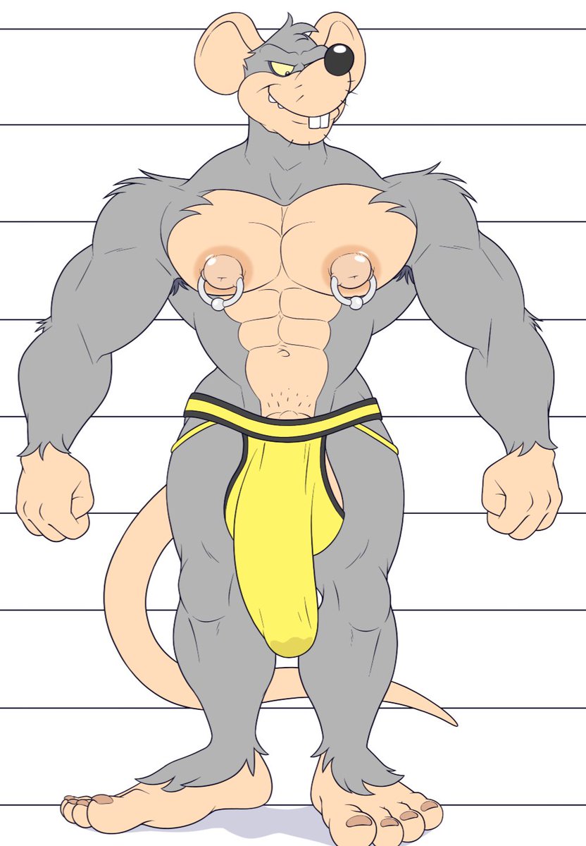 Jiim_Ratt2's tweet photo. — "Gym Rat is looking to do a little collab piece for the next shoot. Drop your pics and we'll start considering some of yous" https://t.co/69w5LYf5sa
