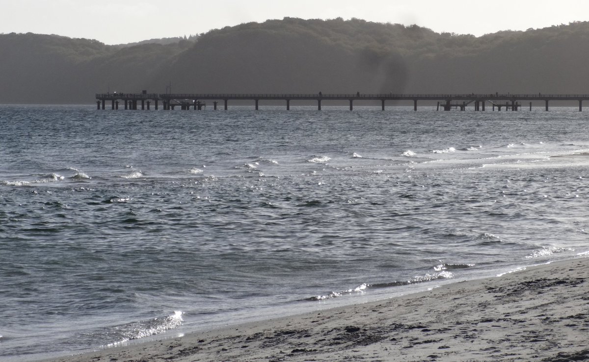 ThomasBartels83's tweet photo. Angekommen 🌊🥰⛵️🌊🚂🐱🌊 Ahoi 🌊✨ 

#Ostsee #Oktober2026 #Binz #InselRügen #Rügen2026 #ThomasBartels https://t.co/JIXZkEhCs5
