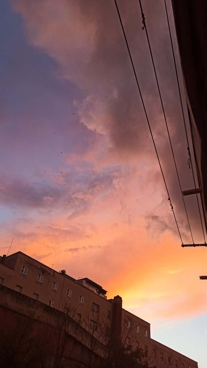 israRR89's tweet photo. Los atardeceres post lluvia son 🧡

@meteocr @wikiCR @ElTiempoCMM https://t.co/xCd2CNQdlx