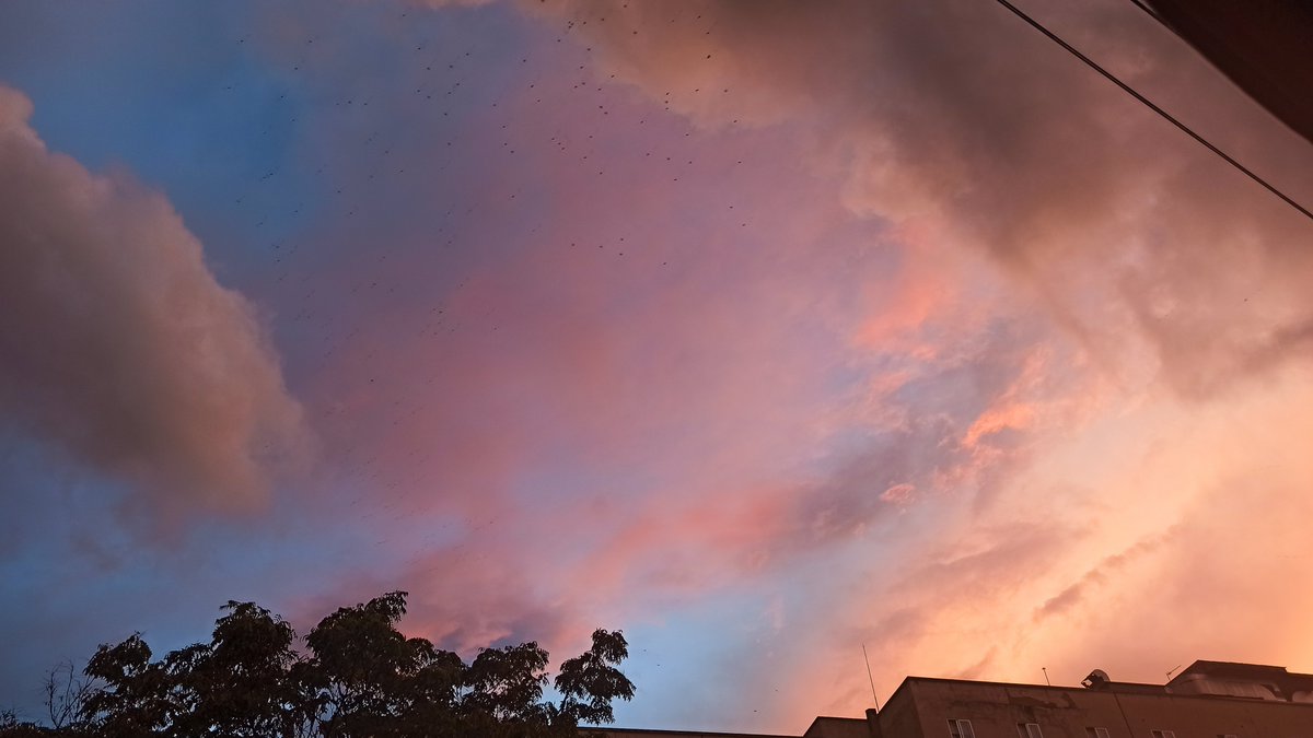 israRR89's tweet photo. Los atardeceres post lluvia son 🧡

@meteocr @wikiCR @ElTiempoCMM https://t.co/xCd2CNQdlx