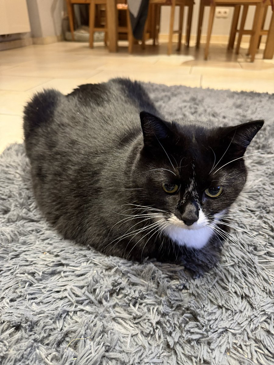 quinnerszn's tweet photo. loaf update 🍞 https://t.co/66zJIVSZiA
