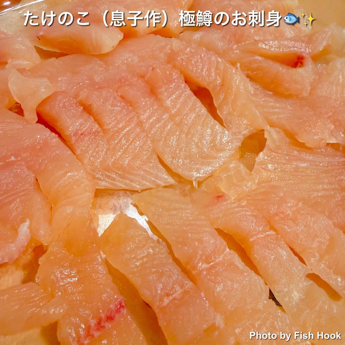 FishHook_2023 tweet picture