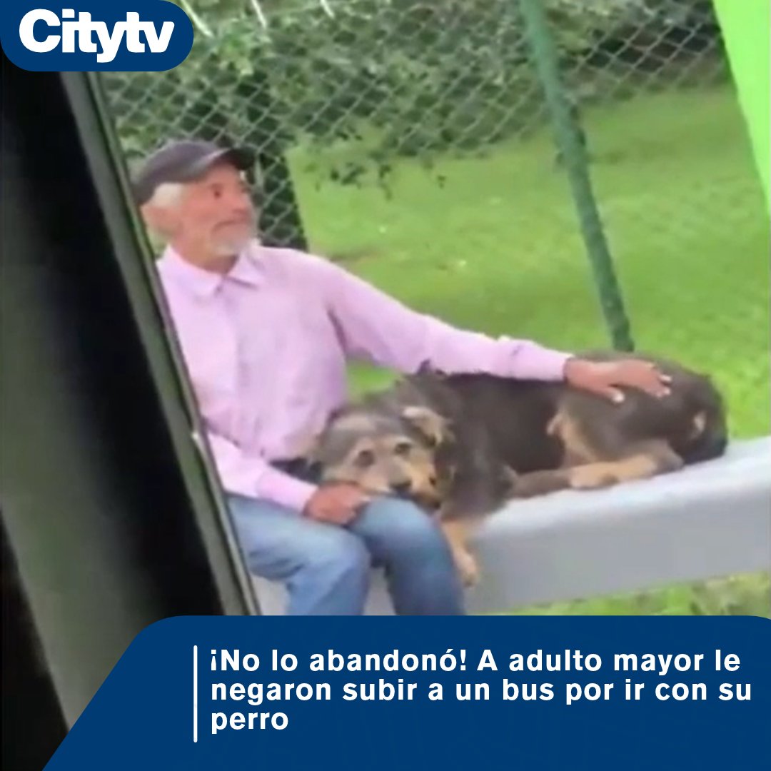Citytv's tweet photo. #Denuncias | 🐶 Un adulto mayor denunció que un conductor de Transoriente le negó el servicio porque viajaba con su perro. Detalles aquí 👇
https://t.co/K29vXS3dRn https://t.co/WzoH6TPSyx