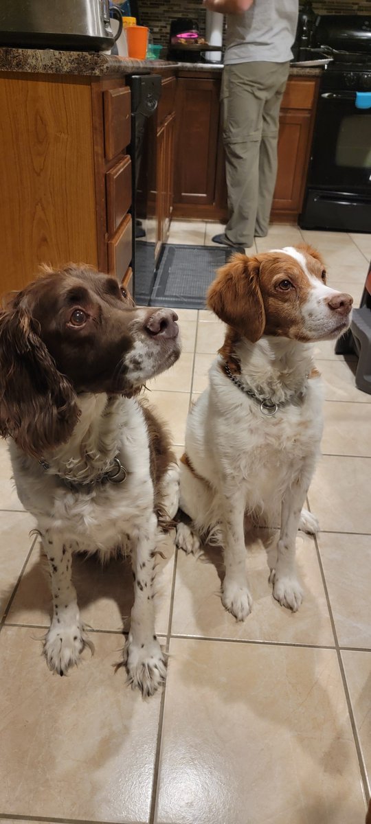 seraph_twisted's tweet photo. @DayumDahlia My boys were quite the handsome trio. https://t.co/0e1O3uGeoI