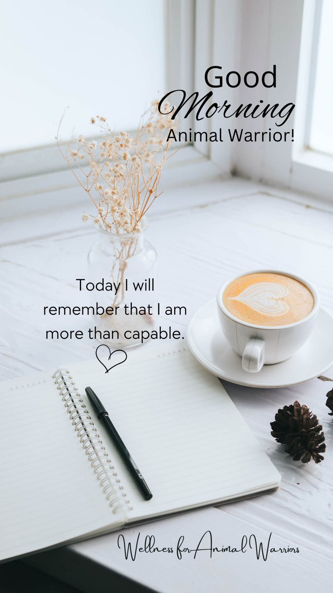 WAnimalWarriors's tweet photo. #Goodmorning, animal warrior! #AnimalRescue #Rescuelife #Animalwelfare #DogRescue #CatRescue #horserescue #TNR #trapneuterreturn #Vet #VetNurse #VetTech #AnimalShelter #AnimalSanctuary #Veterinarian #sheltervolunteer #SelfCare #EmotionalWellbeing #Burnout #animalrescuer https://t.co/I30Q6NaqHi