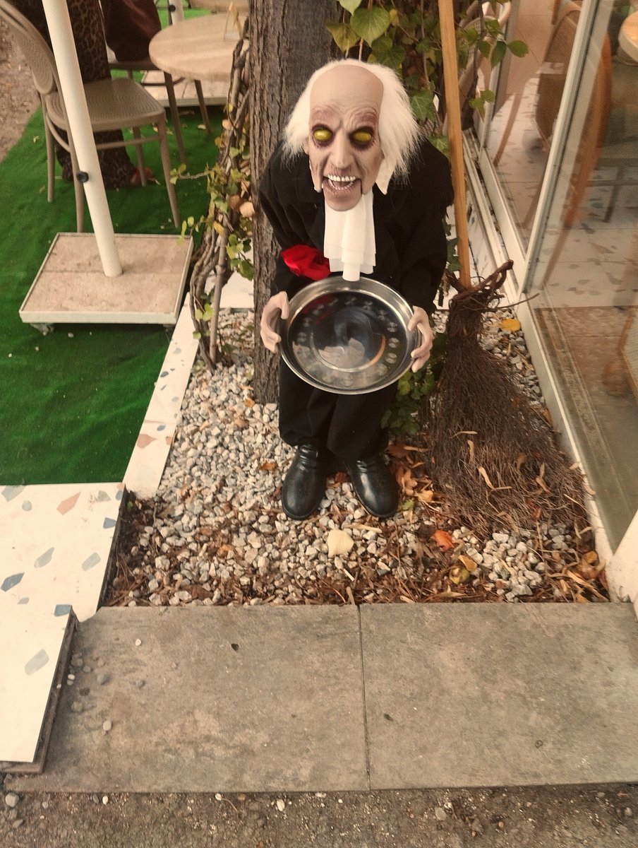 kontrollukaos's tweet photo. Hepi hallovın 🍪 🎃
#sunco
#Ankara https://t.co/FIjSHIQ1h2