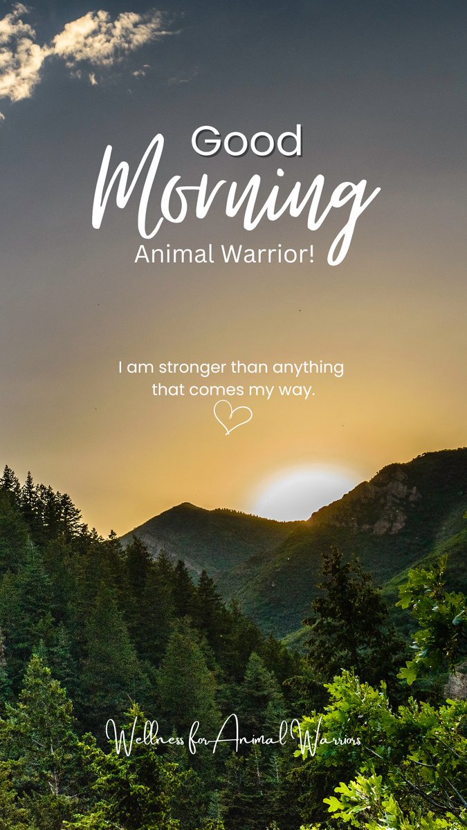 WAnimalWarriors's tweet photo. #Goodmorning, animal warrior! #AnimalRescue #Rescuelife #Animalwelfare #DogRescue #CatRescue #horserescue #TNR #trapneuterreturn #Vet #VetNurse #VetTech #AnimalShelter #AnimalSanctuary #Veterinarian #sheltervolunteer #SelfCare #EmotionalWellbeing #Burnout #animalrescuer https://t.co/klrx4z2bjf