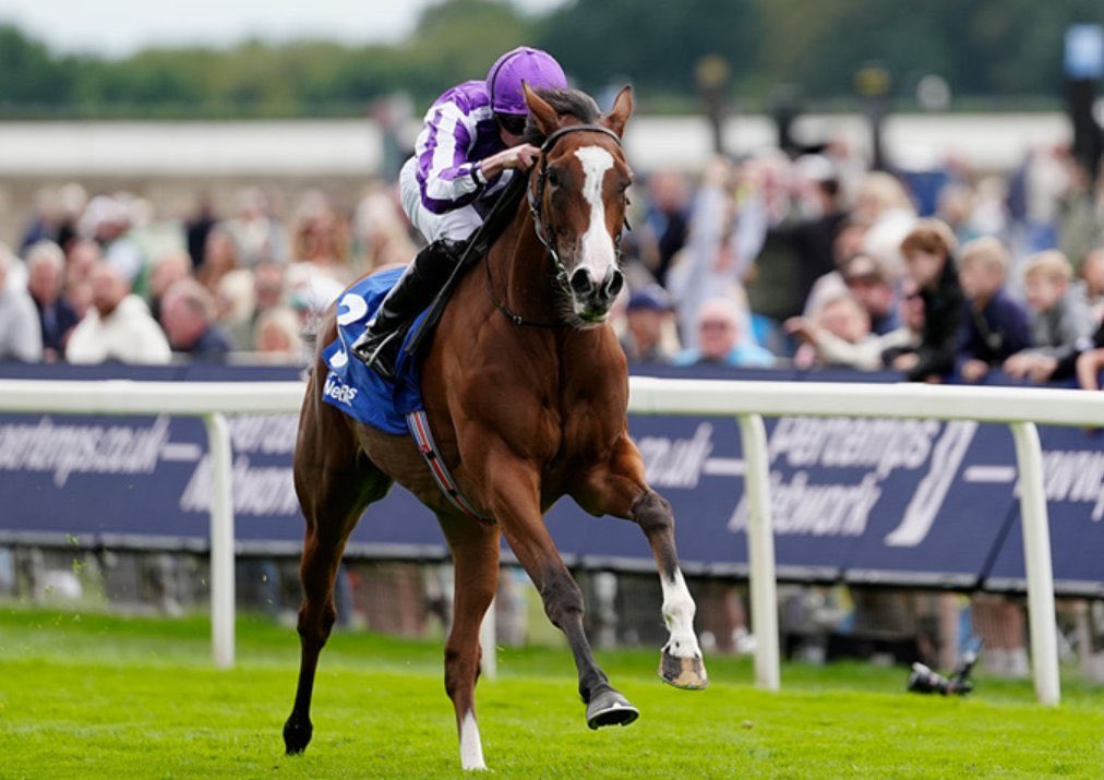 FrankelWatch13's tweet photo. As per Aidan O’Brien MINNIE HAUK (Frankel x Multilingual) could well have one final run and that is likely going to be in the Japan Cup 🇯🇵 https://t.co/IUyZKIKp6F