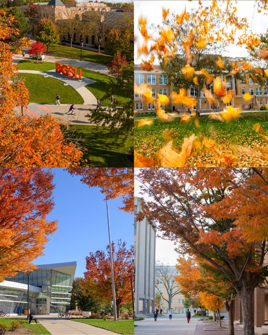 Autumn scenes at Bowling Green State University: a campus sign set on lush grass with vibrant fall colors, vivid orange leaves swirling in front of a classic academic building, a modern glass structure beside colorful trees, and a walkway lined with students and tall, orange-leafed trees.