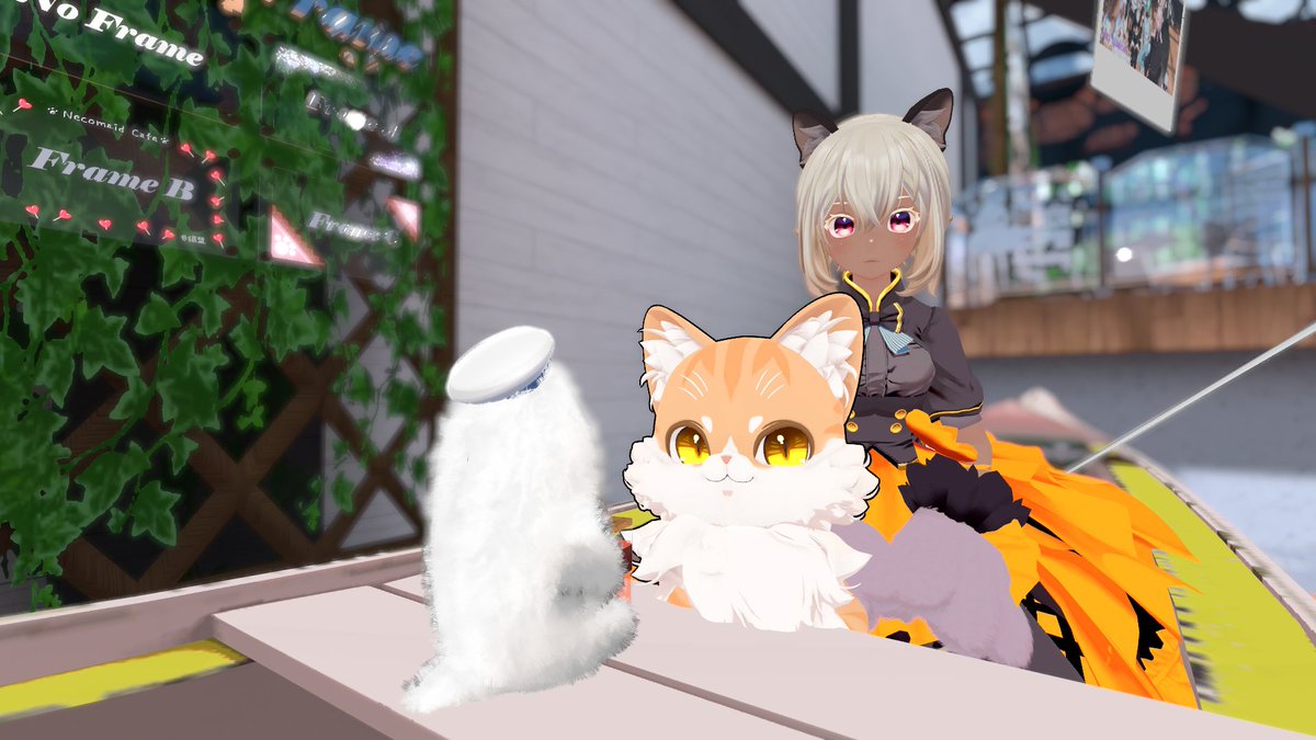 mayumi_39_'s tweet photo. ＃猫盟　アフターはルーチェさんの俺の船?!に
乗せていただきました https://t.co/EUrKOoMlqr