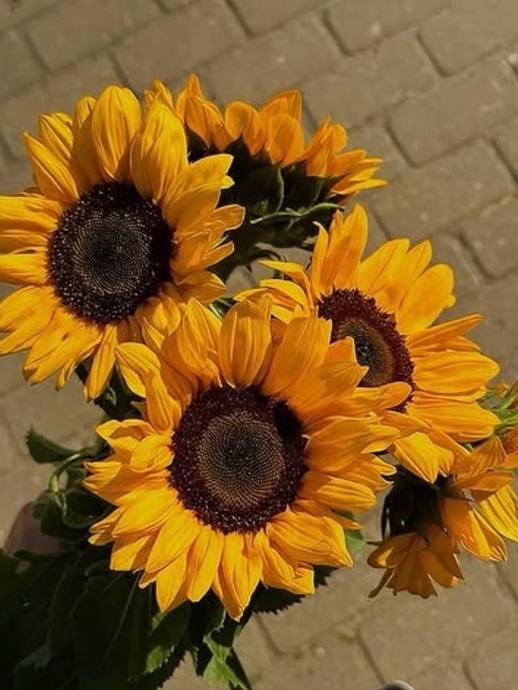 sunflowerchives's tweet photo. Tag someone special 💛 https://t.co/PE97UQUsgm