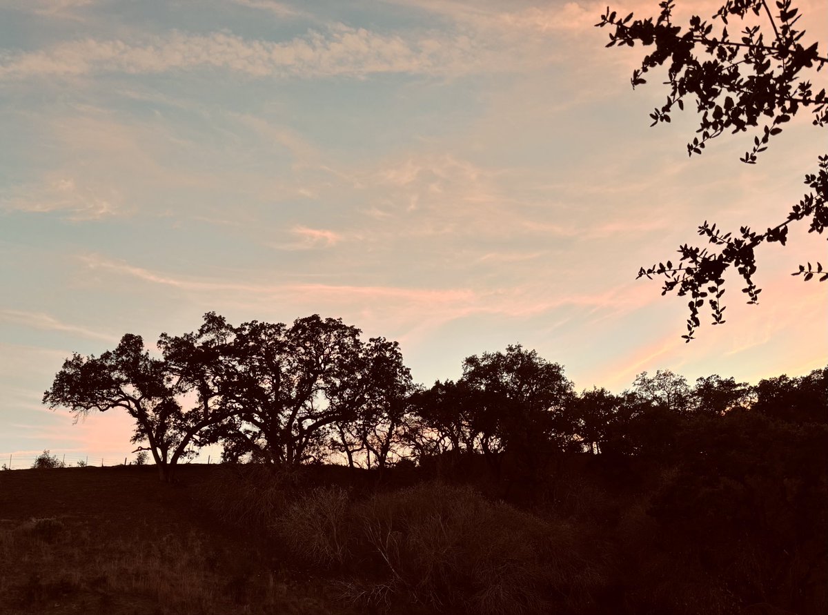 Rd_2Restoration's tweet photo. Whispy skies. https://t.co/M31esNas8C