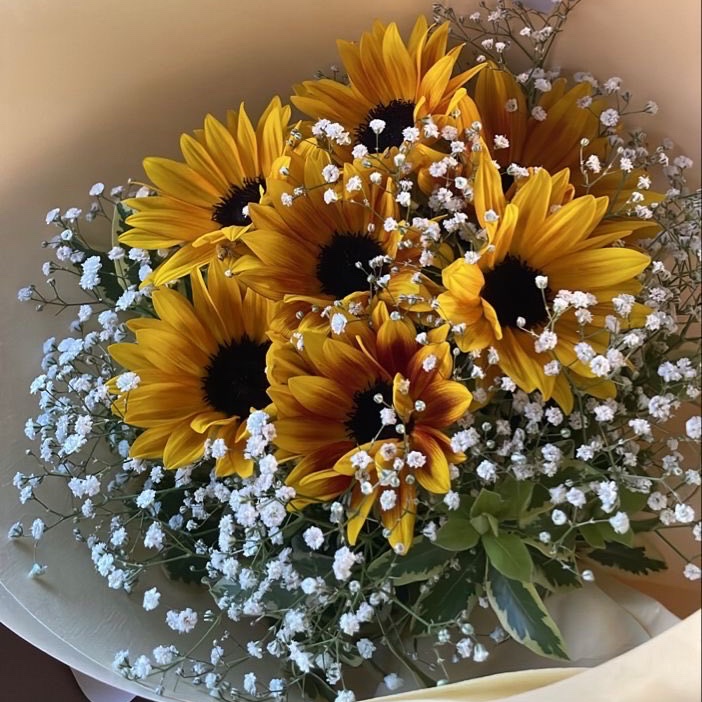 sunflowerchives's tweet photo. What do you think? https://t.co/7Axfouzht5