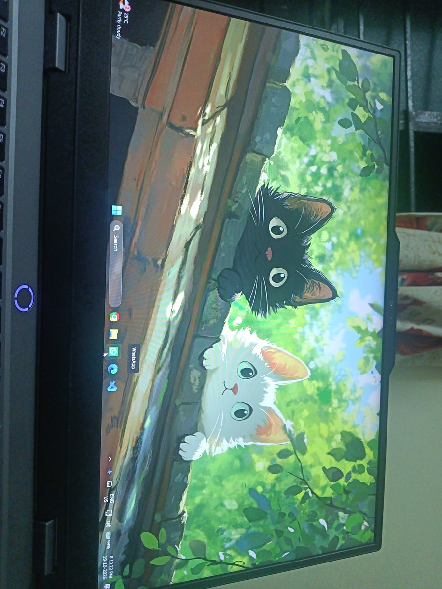 mohit_kamble75's tweet photo. Rate the my wallpaper..... https://t.co/SjsLpzYfZ2