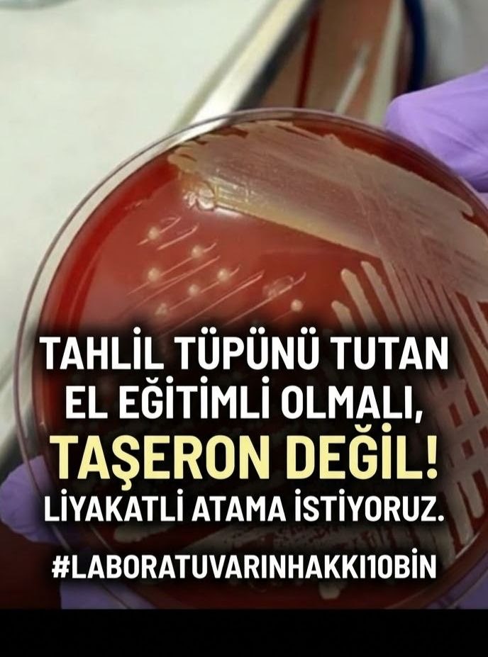 userlabatama's tweet photo. Laboratuvarlar,gerekli eğitimini alan,stajini yapan, gerekli bilgi ve tecrubeye sahip laborantların yeridir

#LaboratuvarınHakkı10Bin
@saglikbakanligi https://t.co/YDJykB6zSh