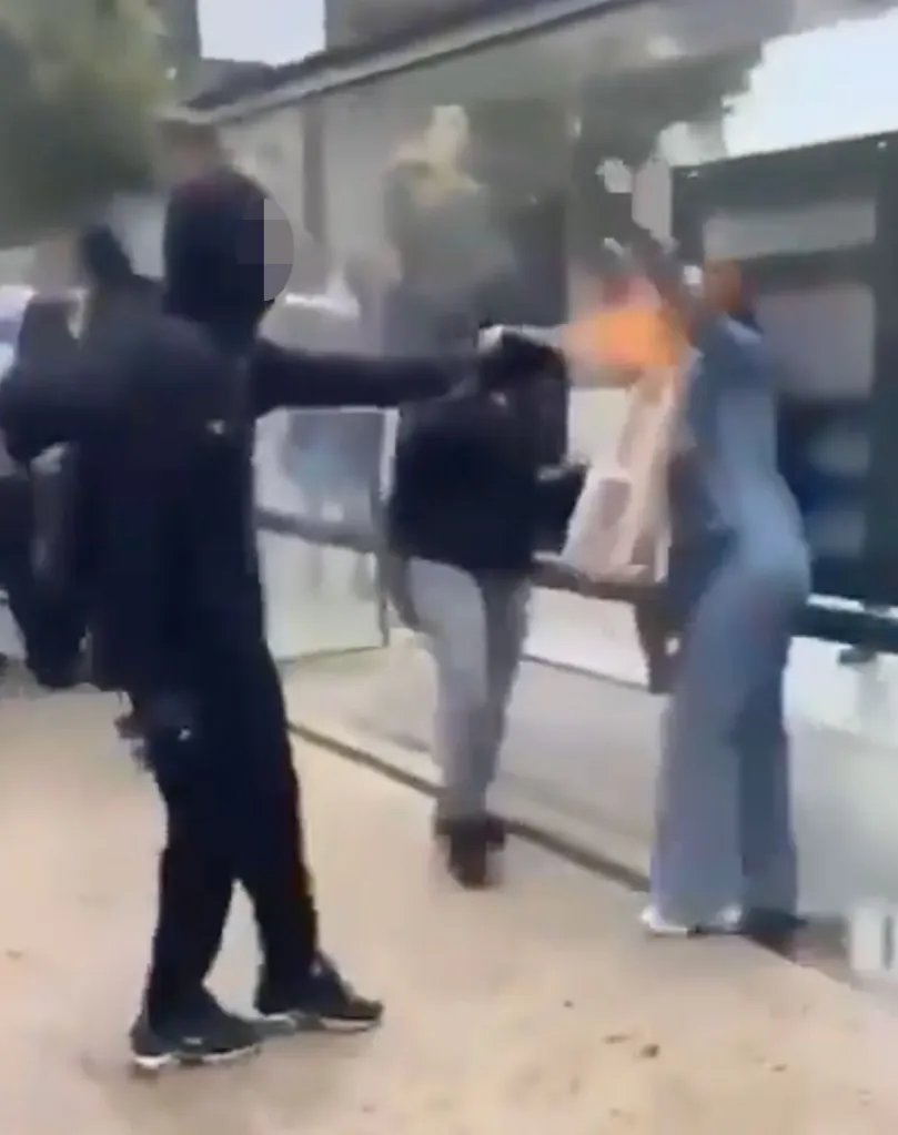 jimgeraghty's tweet photo. You don’t build better schools by firing a makeshift flamethrower in a random woman’s face. You don’t create economic opportunities by looting Louis Vuitton, Hermes, and Apple stores.

The riots in France have nothing to do with fairness or opportunity or the cost of living. They are about power. Right now, on too many streets in too many cities across France, the rioters have the power, and the forces of law and order do not.