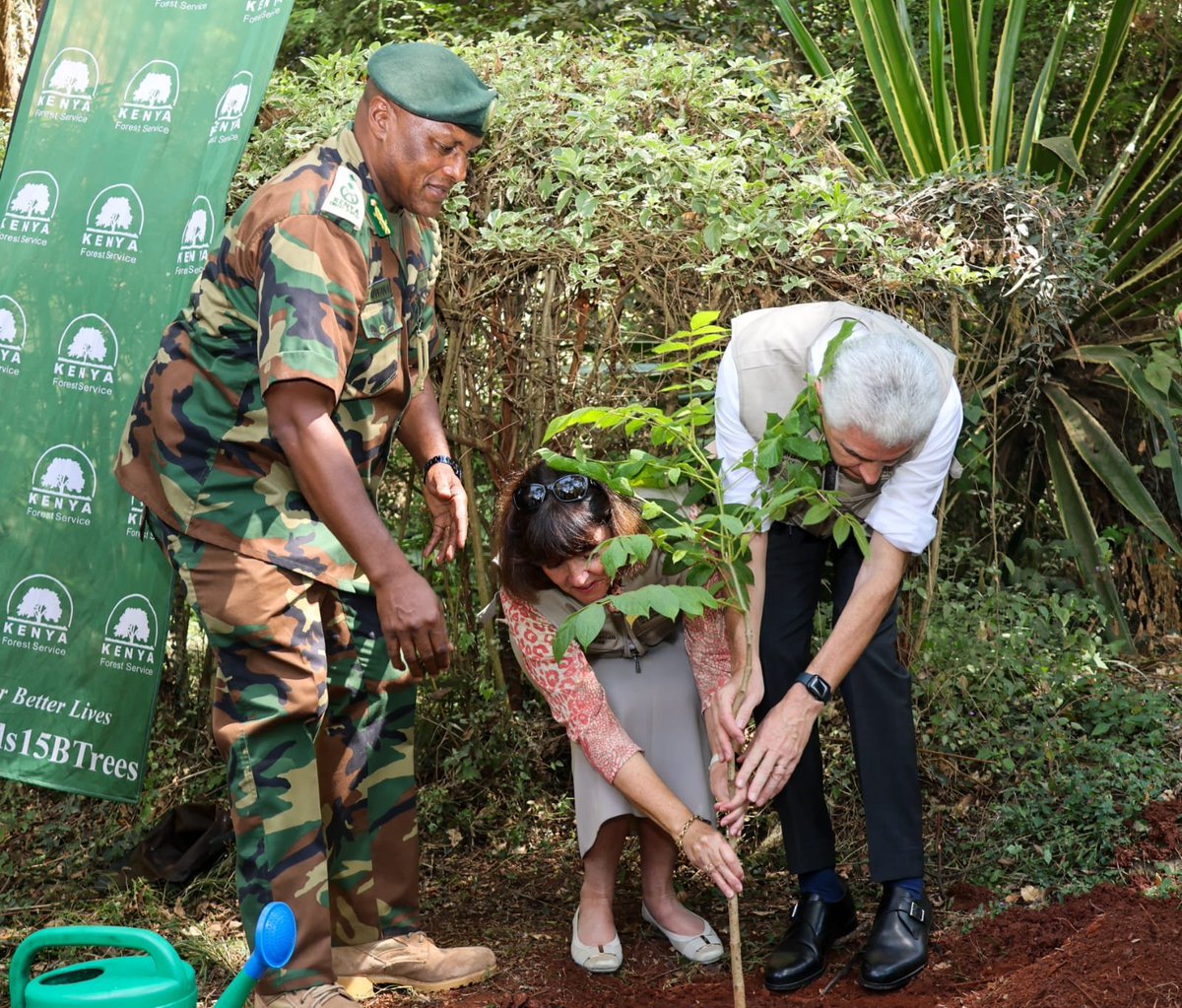 KeForestService's tweet photo. KFS, Church Hold Tree-Planting Exercise at Nairobi Arboretum

The Kenya Forest Service (KFS) hosted the visiting Apostle of @Ch_JesusChrist , Elder Gerald Causse  who was accompanied by his spouse,  Sister Valerie Causse in a tree-planting exercise at the Nairobi Arboretum, highlighting the importance of collective efforts in environmental conservation and supporting Kenya’s 15 Billion Tree Growing Programme.

The exercise was led by Jerome Mwanzia ‘ndc’ (K), Project Manager, Green Zones, who represented the @CCF_Kenya . The activity provided an opportunity to promote tree growing and reflect on the importance of protecting and sustainably managing forest resources.

Speaking during the exercise, Mr. Mwanzia emphasised the need to upscale tree growing to support the national target of growing 15 billion trees. He highlighted the importance of enrichment planting and strengthening forest protection through fencing to enhance security, control access and safeguard forest resources.

Elder Gérald Causse underscored the importance of protecting green spaces for present and future generations, noting that tree planting contributes to environmental conservation and community well-being.

Since 2021, the Church has provided 575,000 fruit tree seedlings across Kenya in support of conservation efforts. This contribution highlights the role of various stakeholders in promoting tree growing and complementing national efforts to increase tree cover.

The exercise reaffirmed the importance of individual and collective action in environmental conservation and the need to nurture planted trees to ensure their long-term survival and contribution to a greener environment.