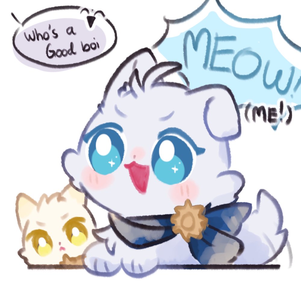usa_kazuma's tweet photo. Who's a good pupp— kitty? https://t.co/MbYk9P2rTs