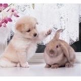 v0idoll's tweet photo. Look at them https://t.co/xEZzvQHq13