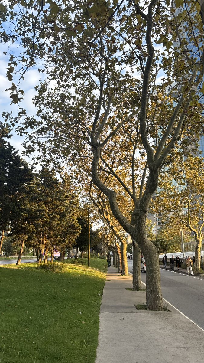 iamoutoftouch1's tweet photo. 5:56pm ☀️ https://t.co/wFYDzNSkfQ