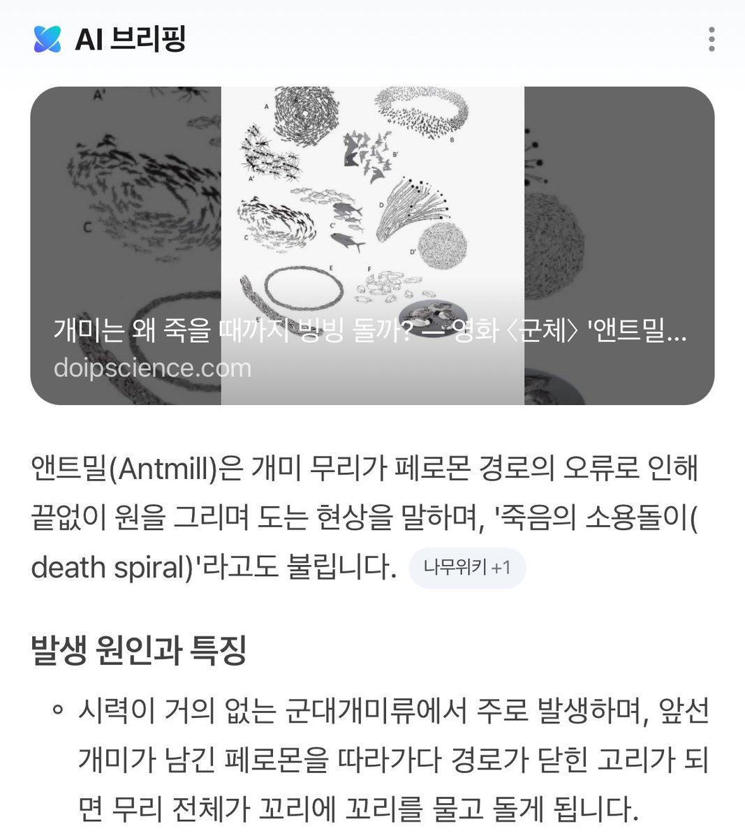 _siove's tweet photo. 앤트밀 ← “죽음의 소용돌이”라는 뜻인고 뉴해피도 “저항의 상태를 잃는 순간 우리는 죽는다”라는 뜻인데 빠져나올수 없는 소용돌이(폭풍)에 멤버들이 갇혀버리는게 아닌가 싶고.. https://t.co/O9M1tz1Rm9
