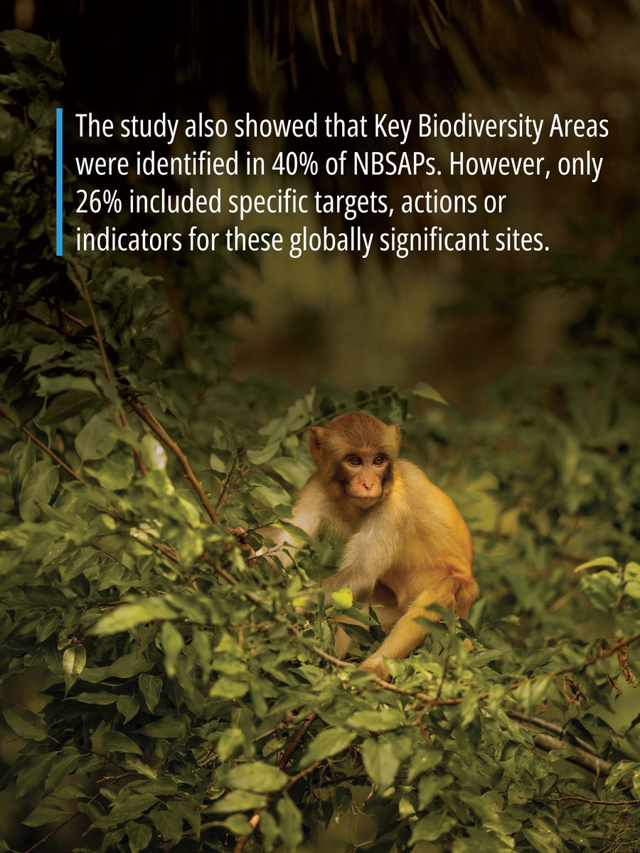KeyBiodiversity tweet picture