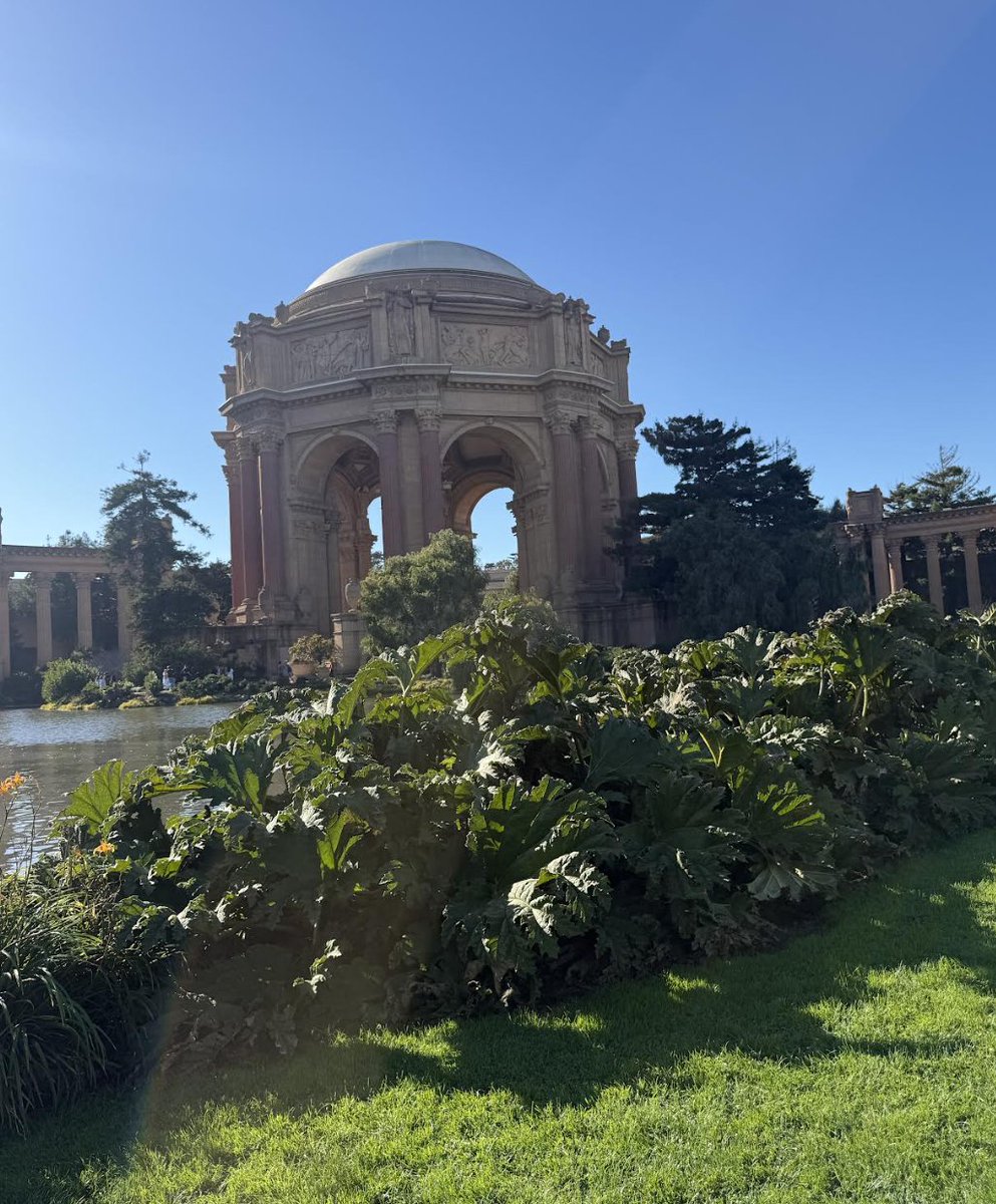 WorksInProgMag's tweet photo. Our art director @AtalantaArdenM and our editor @RuxandraTeslo paired up to visit the Palace of Fine Arts in San Francisco, on an exceedingly fine Saturday afternoon. 

In the soft October light, the building looked exquisitely beautiful, and it brought to mind lessons from some of our favorite Works in Progress pieces on architecture. Its story is also relevant to some debates happening now in San Francisco around whether today's rich are funding enough beautiful buildings that delight the human eye. 

Concrete and modern materials can give rise to beautiful buildings, as our editor @SCP_Hughes highlighted in his piece "The Beauty of Concrete"! 

A common misconception is that modern buildings are ugly because of the intrinsic features of the materials they are built from. But the Palace of Fine Arts is entirely made of concrete and steel, perfectly illustrating that is not the case. 

The key is that the concrete and steel building (funded by a rich philantropist and made in the 60s), was following entirely the design of an earlier replica of this building, from the beginning of the 20th century.

Bernard Maybeck first designed the palace for the 1915 Panama-Pacific International Exposition. Like most of the fair’s buildings, it was meant to be temporary, so the materials it was made of were not meant for long term endurance. It was made of a wood frame covered in “staff,” a mix of plaster and burlap fiber that was shaped to look like stone. But those materials crumbled over the following decades. 

In the 1960s, funded largely by philanthropist Walter Johnson, it was torn down and rebuilt in concrete and steel, following Maybeck’s design almost exactly, with ornament cast from the original.

The lesson is that materials or "modernity" itself were never the problem. We could have kept building beautiful things after the 1960s, but we chose not to, as we fell under the thrall of minimalist designs lacking ornament (among many other bad aesthetic choices.)
Armed with this knowledge, the philantropists of today can make a conscious choice to fund that which delights the human eye and soul. Aesthetic decline is a choice!