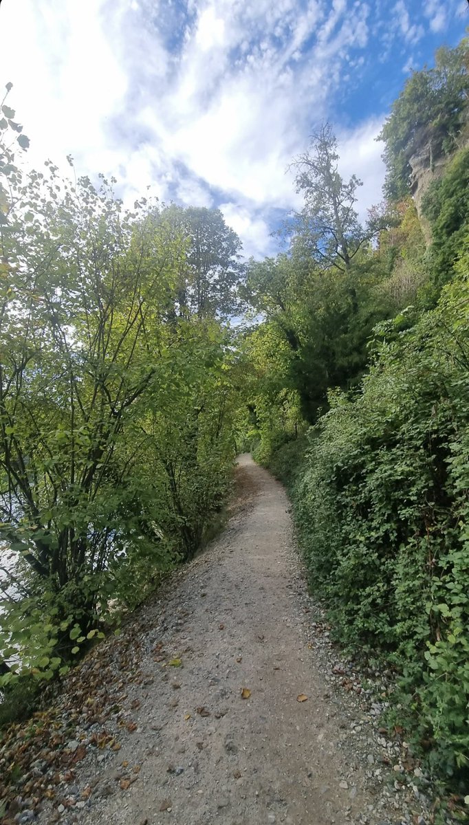 gitanbleu's tweet photo. #après_tout “La solitude
n’est pas une punition, 
peut-être une formation 
de soi-même” https://t.co/PDdmi7m08d