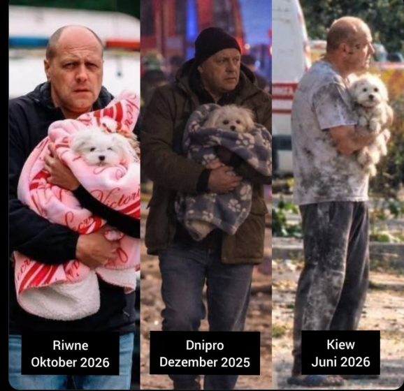 pbecchi's tweet photo. in Ukraina, questo attore è stato fotografato 3 volte in posti diversi, vestito diversamente, mentre salvava sempre lo stesso cane dai bombardamenti
(il cane, non sono stati a cambiarlo...) https://t.co/7meimuOdwe