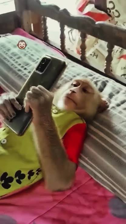 diegomichell's tweet photo. Entrei no Kawaii pra postar tudo que posto em outras redes contra o bolsonarismo. Me peguei assistindo a uma novela de 8 minutos de um mendigo que aceitou Jesus e por isso virou empresário. https://t.co/s3OOq3D7p2