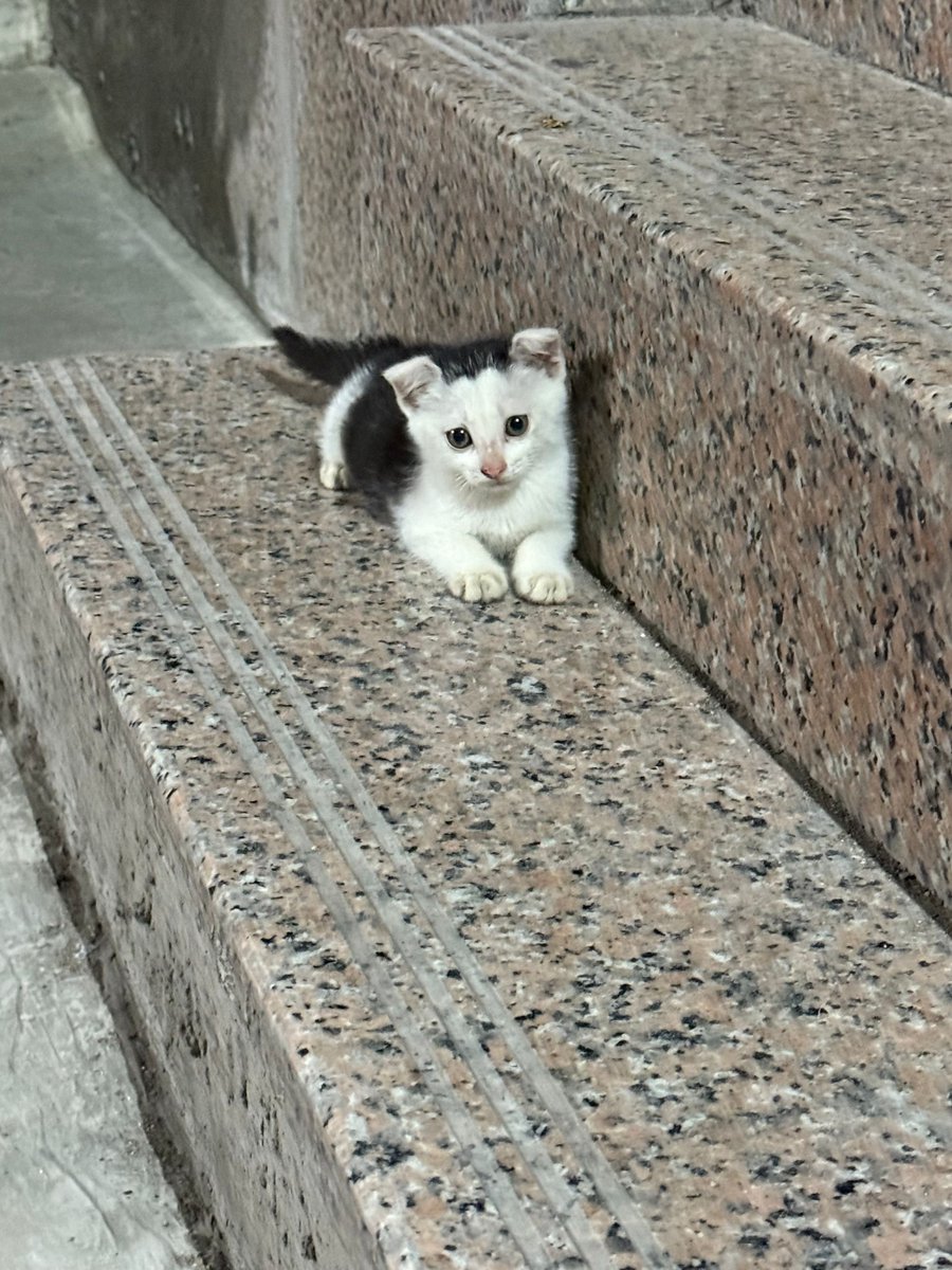 Againccc0521's tweet photo. 🥺🥺🥺 https://t.co/5Txw4SBiTl